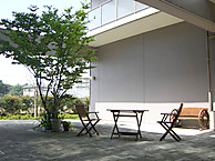 中庭